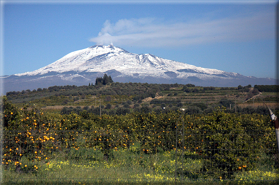 foto Pendici dell'Etna